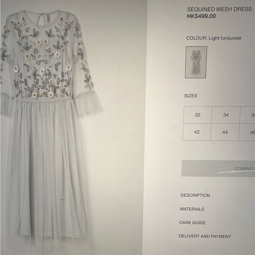 Divided Silver Mesh Dress with Beaded Details. Never worn. Like new. Beautiful!